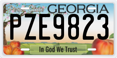 GA license plate PZE9823
