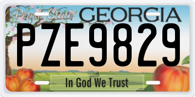GA license plate PZE9829