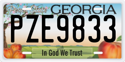 GA license plate PZE9833