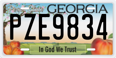 GA license plate PZE9834
