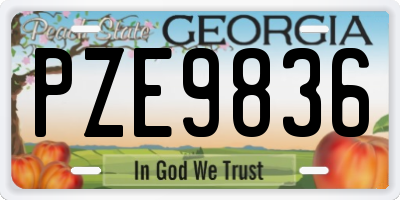 GA license plate PZE9836