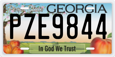 GA license plate PZE9844