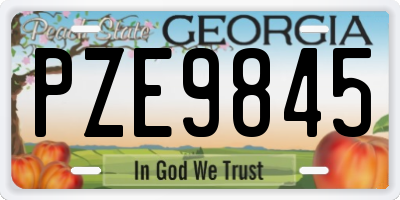 GA license plate PZE9845