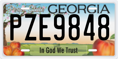 GA license plate PZE9848