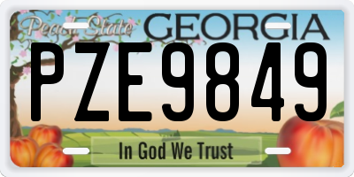 GA license plate PZE9849