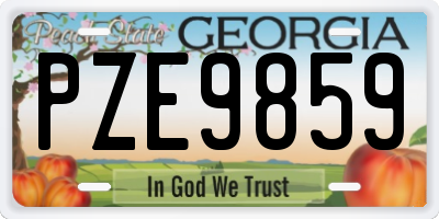 GA license plate PZE9859