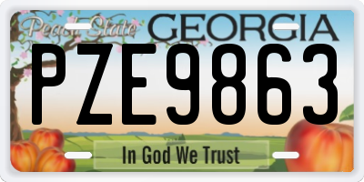 GA license plate PZE9863