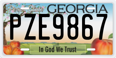 GA license plate PZE9867