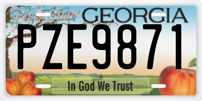 GA license plate PZE9871