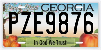 GA license plate PZE9876