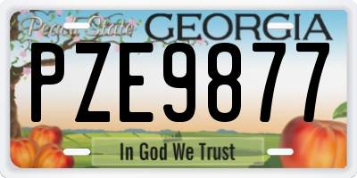 GA license plate PZE9877