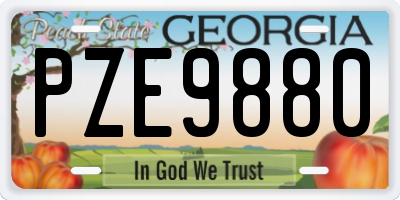 GA license plate PZE9880