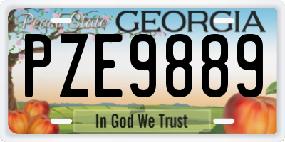 GA license plate PZE9889