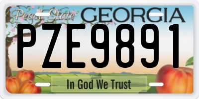 GA license plate PZE9891