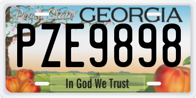 GA license plate PZE9898