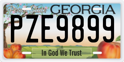 GA license plate PZE9899