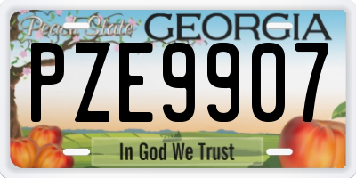 GA license plate PZE9907