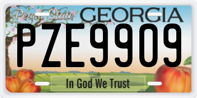 GA license plate PZE9909