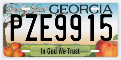 GA license plate PZE9915