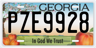GA license plate PZE9928