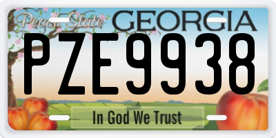 GA license plate PZE9938