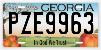 GA license plate PZE9963