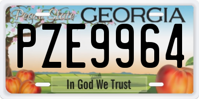 GA license plate PZE9964