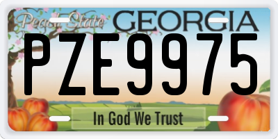 GA license plate PZE9975