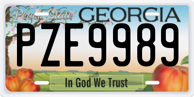 GA license plate PZE9989