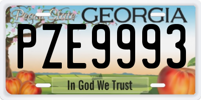 GA license plate PZE9993