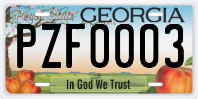 GA license plate PZF0003