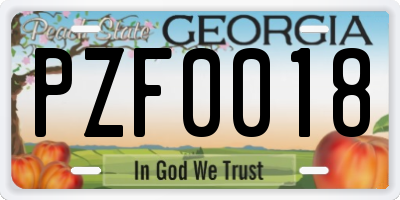 GA license plate PZF0018