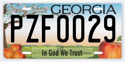 GA license plate PZF0029