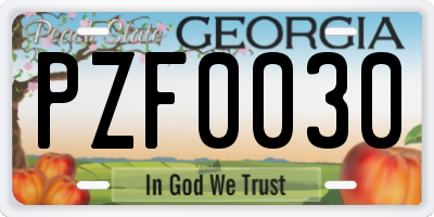 GA license plate PZF0030
