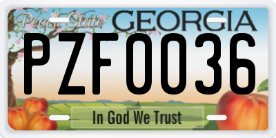 GA license plate PZF0036