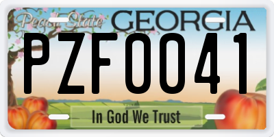 GA license plate PZF0041