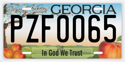 GA license plate PZF0065