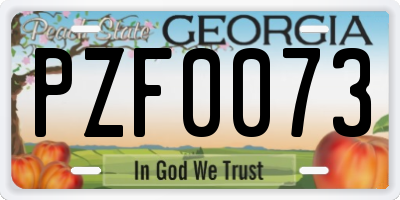 GA license plate PZF0073