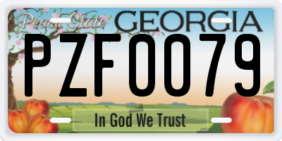 GA license plate PZF0079