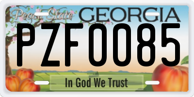 GA license plate PZF0085