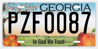 GA license plate PZF0087