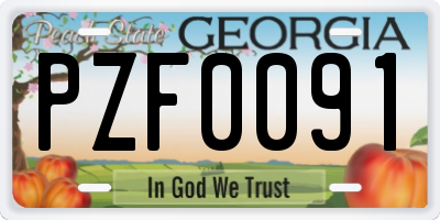 GA license plate PZF0091