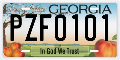 GA license plate PZF0101