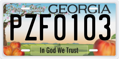 GA license plate PZF0103