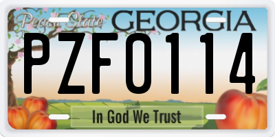 GA license plate PZF0114