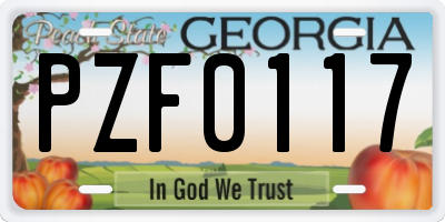 GA license plate PZF0117