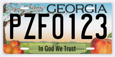 GA license plate PZF0123