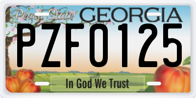GA license plate PZF0125