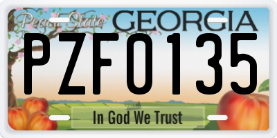 GA license plate PZF0135