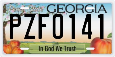 GA license plate PZF0141